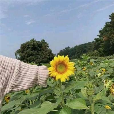 格斗小剑仙变态福利版下载