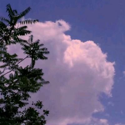 爆裂之风游戏